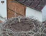 Capi_Dubne_20260826_165503.jpg