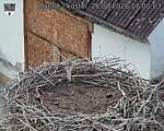 Capi_Dubne_20260826_170003.jpg