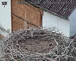 Capi_Dubne_20260826_170503.jpg