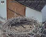 Capi_Dubne_20260826_171003.jpg