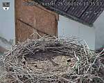 Capi_Dubne_20260826_173503.jpg