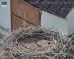 Capi_Dubne_20260826_174003.jpg