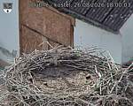 Capi_Dubne_20260826_180003.jpg