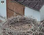 Capi_Dubne_20260826_180503.jpg