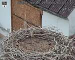 Capi_Dubne_20260826_181503.jpg