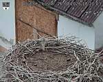 Capi_Dubne_20260826_182003.jpg