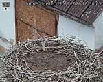 Capi_Dubne_20260826_183003.jpg