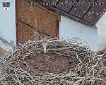 Capi_Dubne_20260826_183503.jpg
