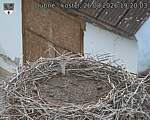 Capi_Dubne_20260826_192003.jpg