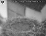 Capi_Dubne_20260826_202002.jpg