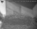 Capi_Dubne_20260826_204003.jpg