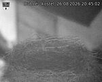 Capi_Dubne_20260826_204502.jpg