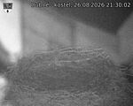Capi_Dubne_20260826_213002.jpg