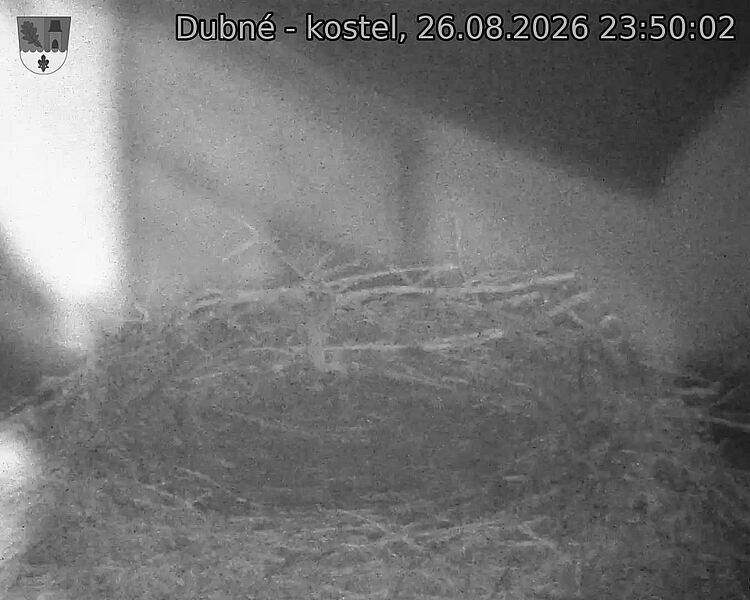 preload