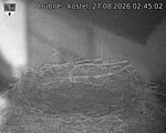 Capi_Dubne_20260827_024502.jpg