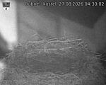 Capi_Dubne_20260827_043002.jpg