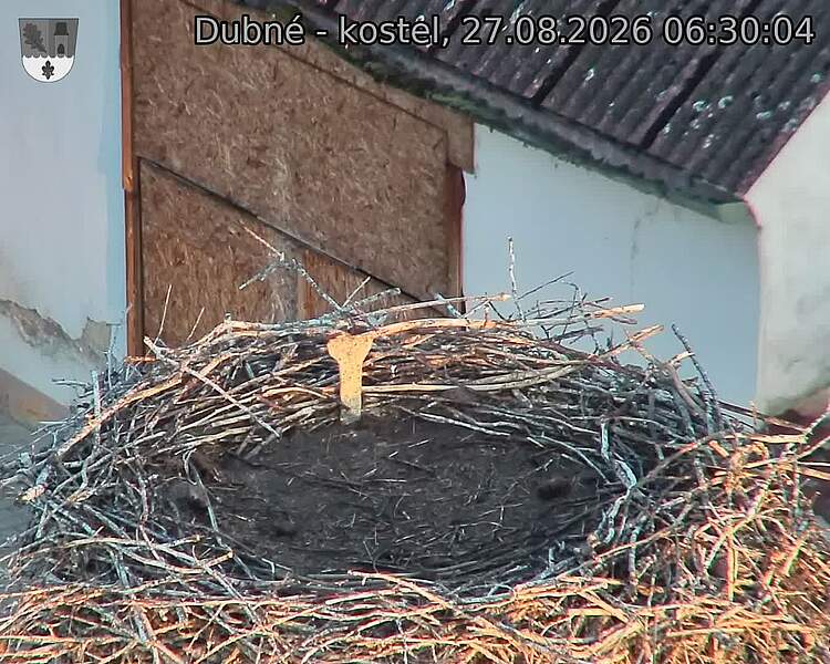 preload