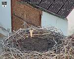 Capi_Dubne_20260827_065004.jpg