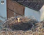 Capi_Dubne_20260827_070002.jpg