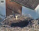 Capi_Dubne_20260827_071004.jpg