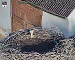 Capi_Dubne_20260827_071503.jpg