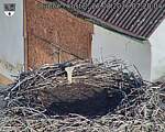 Capi_Dubne_20260827_072004.jpg