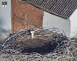 Capi_Dubne_20260827_072504.jpg