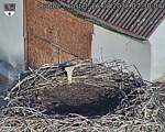 Capi_Dubne_20260827_073004.jpg