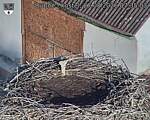 Capi_Dubne_20260827_073503.jpg