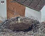 Capi_Dubne_20260827_075004.jpg