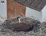 Capi_Dubne_20260827_075504.jpg