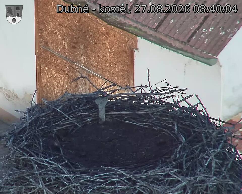 Capi_Dubne_20260827_084004.jpg (1350&nbsp;x&nbsp;1080)