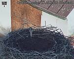Capi_Dubne_20260827_084004.jpg