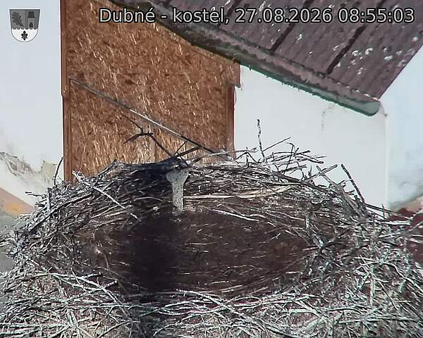preload