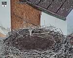 Capi_Dubne_20260827_095003.jpg