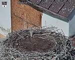 Capi_Dubne_20260827_110504.jpg