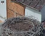 Capi_Dubne_20260827_130503.jpg