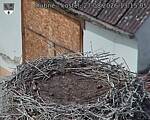 Capi_Dubne_20260827_131505.jpg