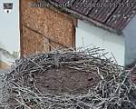 Capi_Dubne_20260827_133503.jpg