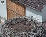 Capi_Dubne_20260827_135503.jpg