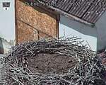 Capi_Dubne_20260827_141003.jpg