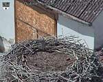 Capi_Dubne_20260827_142503.jpg