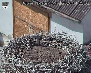 preload