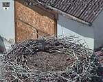 Capi_Dubne_20260827_144003.jpg