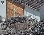 Capi_Dubne_20260827_144503.jpg