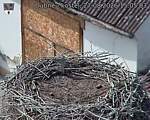 Capi_Dubne_20260827_150503.jpg