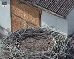 Capi_Dubne_20260827_152504.jpg