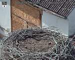 Capi_Dubne_20260827_153004.jpg