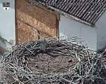 Capi_Dubne_20260827_153505.jpg