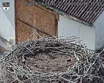 Capi_Dubne_20260827_161005.jpg